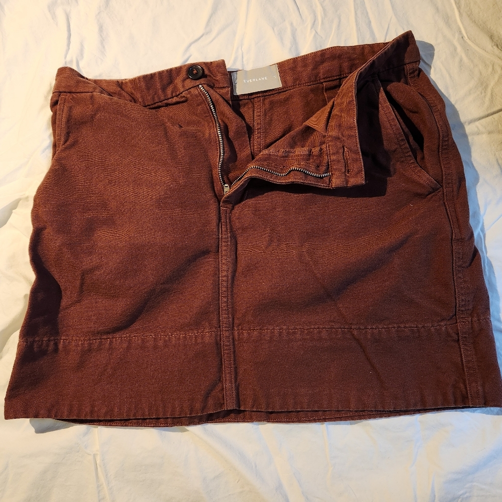 Everlane Mini Skirt